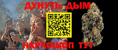 наркотики Новозыбков