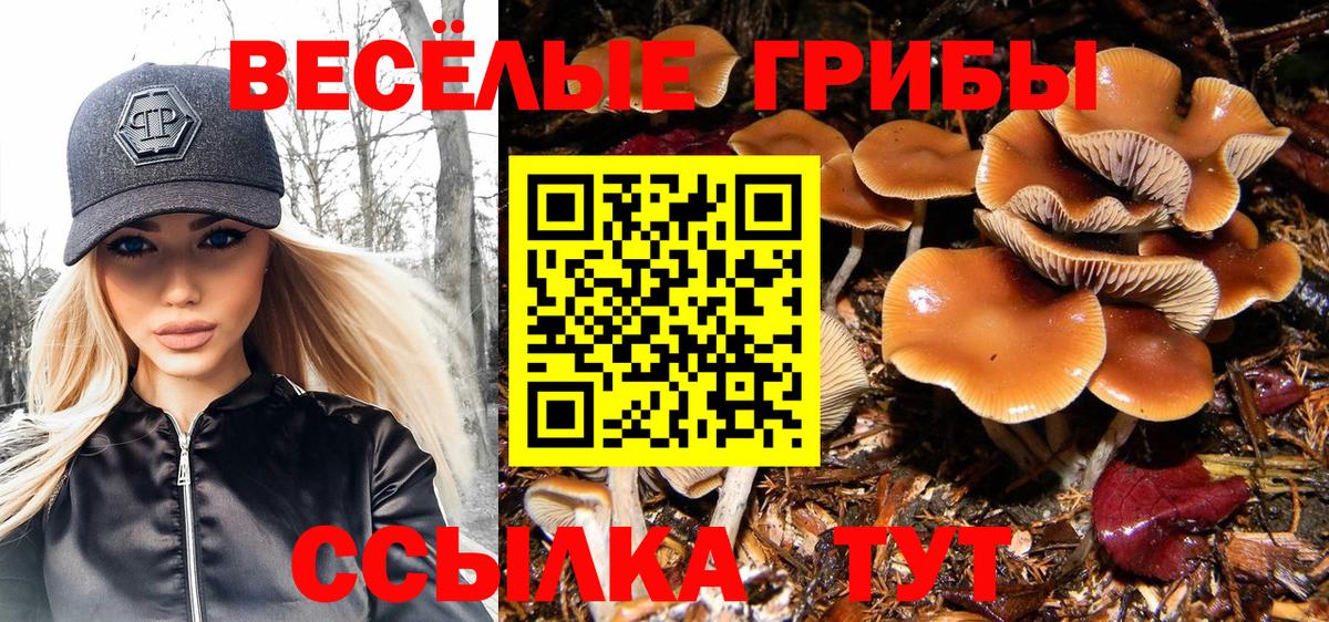 Тверь  купить  сайты  Вход с VPN  Псилоцибиновые грибы MAGIC MUSHROOMS  Галлюциногенные грибы мицелий 